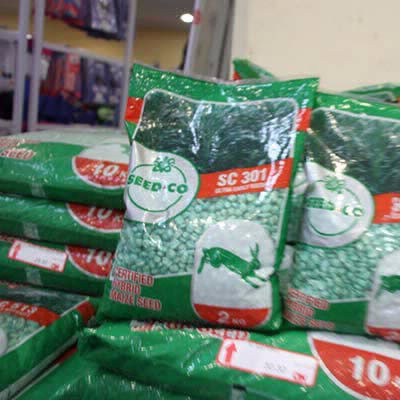 Quality Seeds